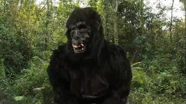 Cosplay địt tarzan trong rừng